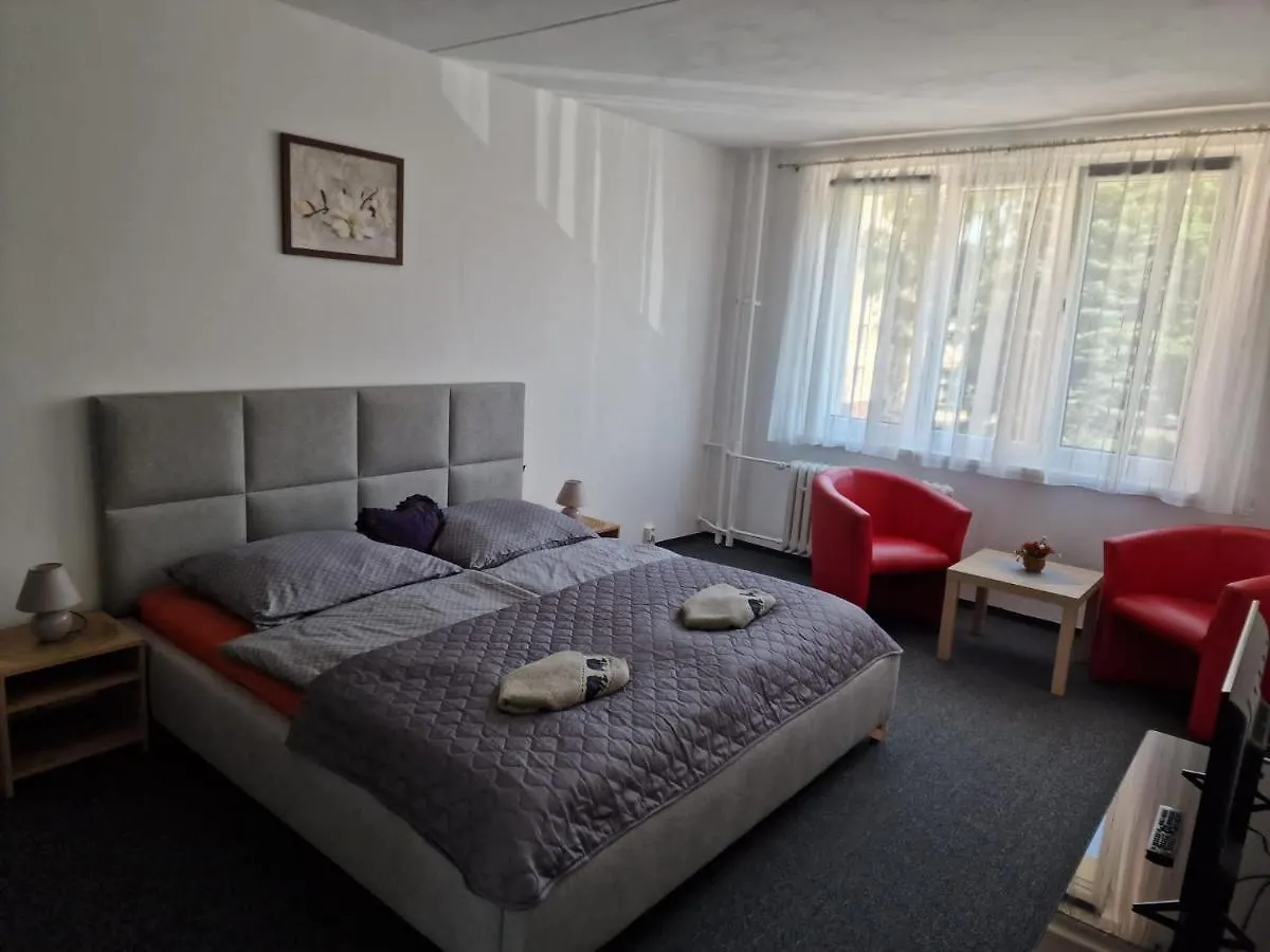 公寓 Apartman U Petra 卡罗维发利